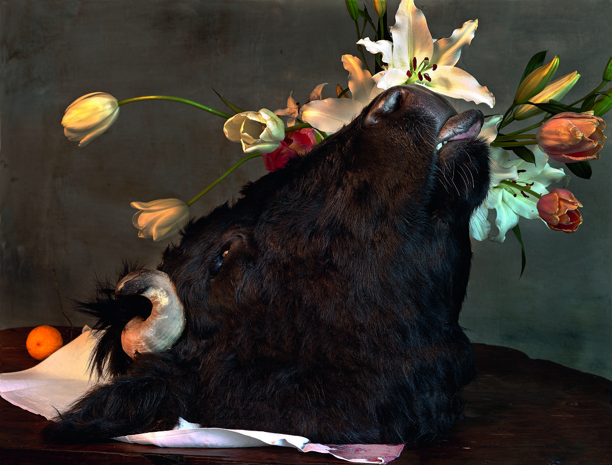 Vera Mercer - Ausstellung still life - life still