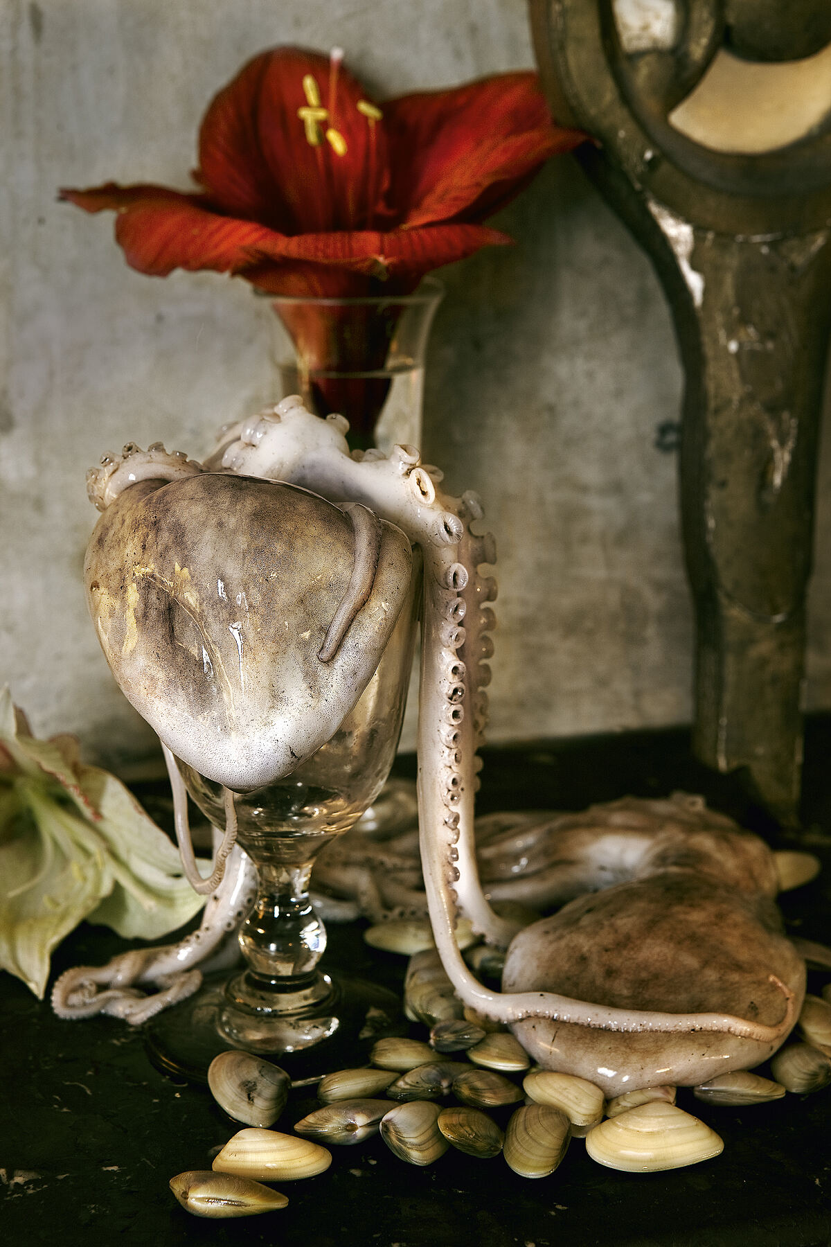 Vera Mercer - Ausstellung still life - life still