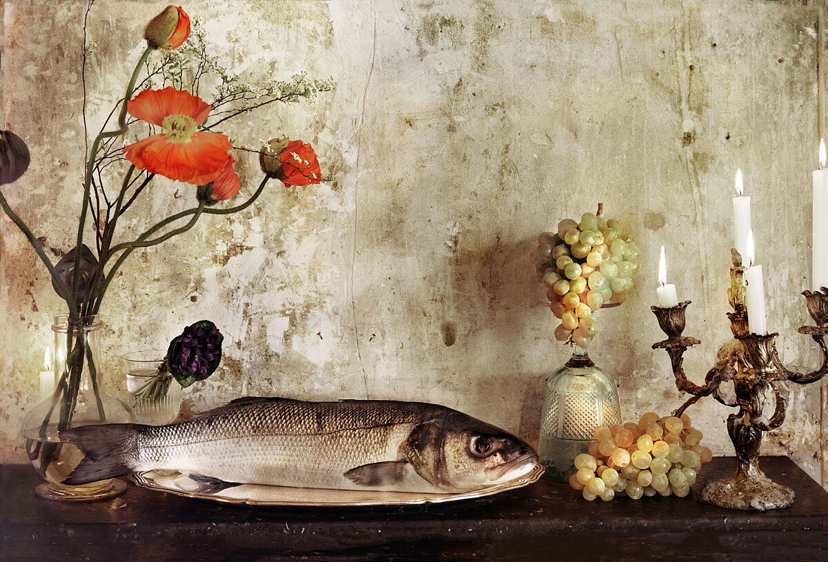 Vera Mercer - Ausstellung still life - life still