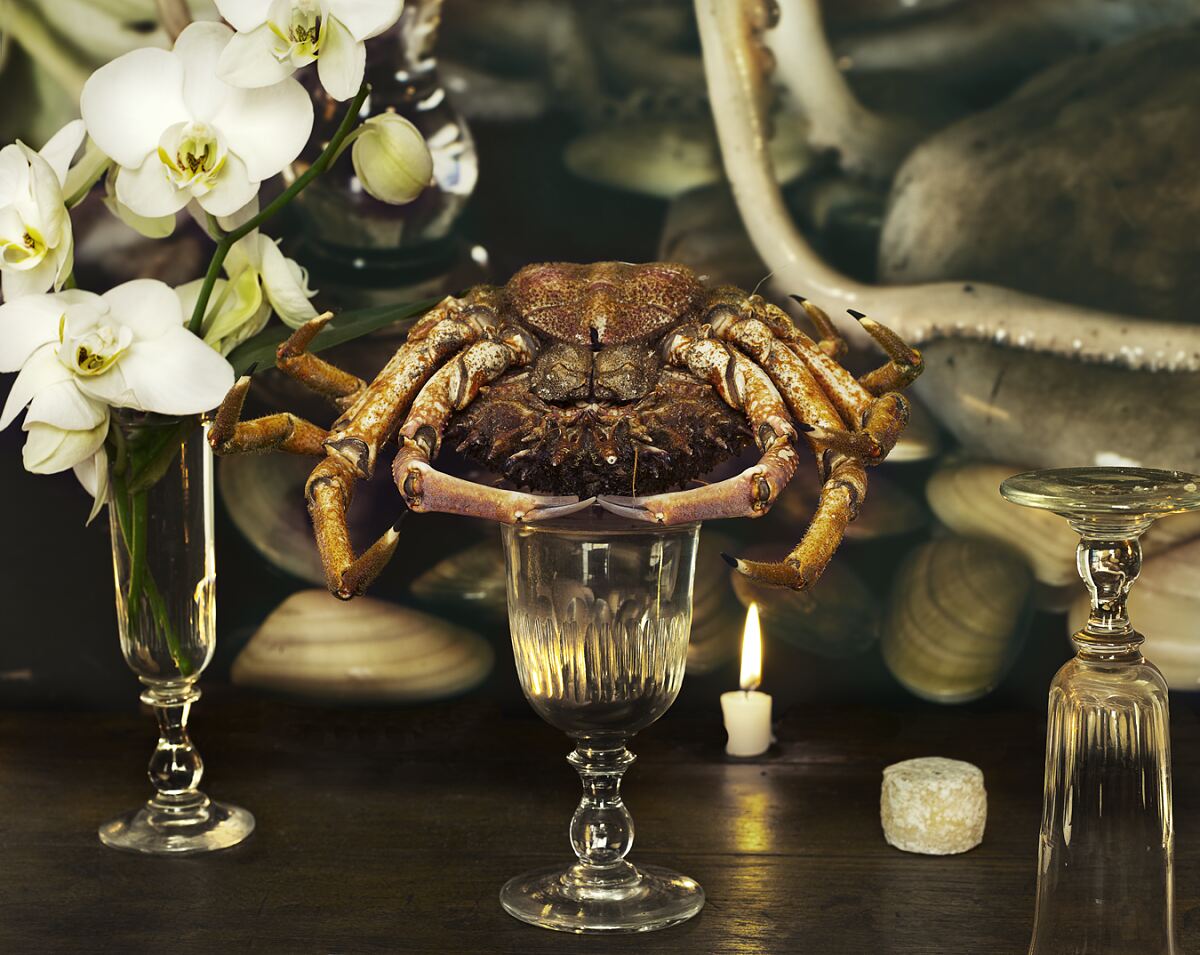 Vera Mercer - Ausstellung still life - life still